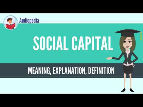 What Is SOCIAL CAPITAL? SOCIAL CAPITAL Definition & Meaning