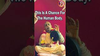 This Is A Chance For The Human Body Srila Prabhupada lecture @srilaprabhupadateachings #love