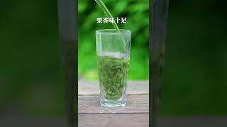 新茶贵州毛尖明前茶叶高山浓香型 #爱喝茶的关注我 #茶人茶事茶生活 #召唤茶友喝好茶