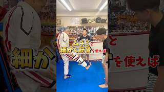 ローキックをカットされずに当てて細かく効かす！！＃武術#鞭身＃村井義治＃シオン君