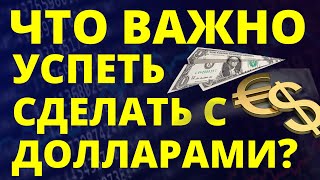 What to do with dollars urgently? Dollar forecast August Dollar rate Russian economy devaluation