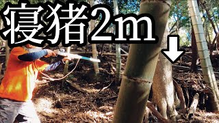 #33 「寝てるイノシシを撃つ」ノーカットVer.