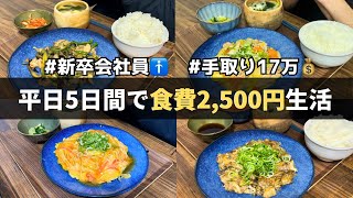 【手取り17万】1日500円で暮らす新卒社会人の一人暮らしごはん【食費節約】