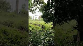 #nature #ulan #music #bukidlife