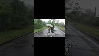 #雨天人像#人像拍攝#人像外拍 #人像攝影#人像寫真##外拍#人像#雨天