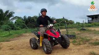 ATTRACTION IN SKY LADDER PINEAPPLE FARM, LUKUT PORT DICKSON