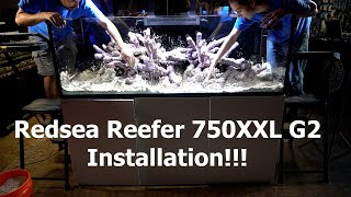 Redsea Reefer 750XXL G2 Display Aquarium Installation.