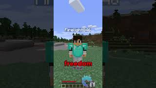 Different Types Of Servers in Minecraft!