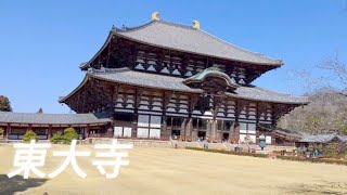 【日本旅遊】奈良必逛景點 -東大寺！