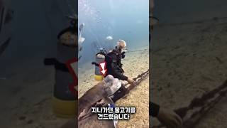 다이버가 바다에서 이상한 동물을 발견했습니다😱