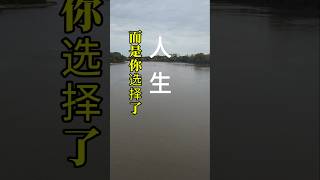 不是人生选择了你,而是你选择了人生.#治愈#人生 #情感 #治愈音樂 #音樂 #happiness