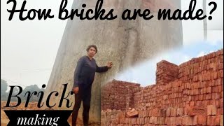 How bricks are made? Brick making process|Longtho| Nagaland