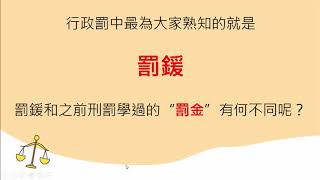 國中公民  行政法規