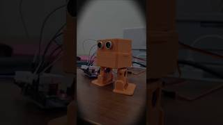 Energy? Through the roof!LEGO? Everywhere!Coding? Blocks and text!Summer camp's a total blast;