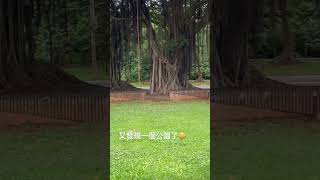雙連坡碉堡公園