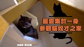 安樂蝸丨最愛集於一身 參觀貓奴才之家丨室內設計丨養貓丨家居佈置