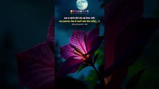 tag your  ❤🥀💞🎀✨#cg #cgsong #cgreels #cglover🦋❤❤❤ #cglovers #cglove #cgshayari #follow #views #viral