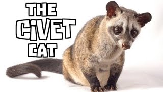 The Fascinating World of Civet Cats: Nature's Coffee Connoisseurs