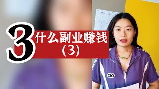 数字心理学|创业指南：什么副业赚钱？3
