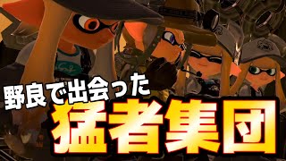 【プロより上手い！】超強プロ猛者プレイヤーたちと野良乱獲で納品ラッシュ！ splatoon3 サーモンラン