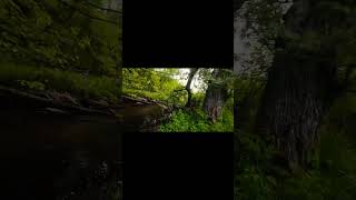 Way to much fun with the new Avata 2. #drone #droneworld #dronegear #dronefly #dronecontroller #dji