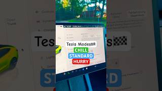 CHILL, STANDARD, HURRY Tesla FSD Modes 🔥#tesla #teslafsd #fsd #teslamodel3 #teslacar #fyp #evcar