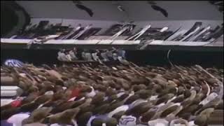 funny jokes, Vines for Laugh, fun comedy videos 2021Ui Ui