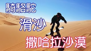 騎駱駝、滑沙遊玩 撒哈拉沙漠 | 摩洛哥旅遊 | Morocco Sahara〈徒步旅程〉