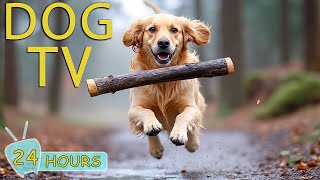 DOG TV: Video Entertain & Relax for Dogs to Watch When Home Alone - Best Collection Music for Dogs