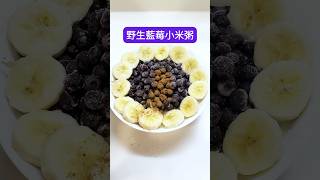 野生藍莓小米粥💰省錢 #食療 #重金屬排毒 #養生 #芹菜汁 #醫療靈媒 #小米粥 #medical medium