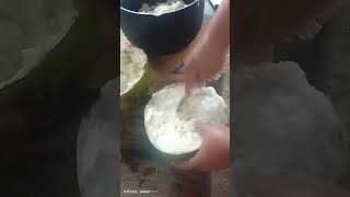 miracle fruit #yt