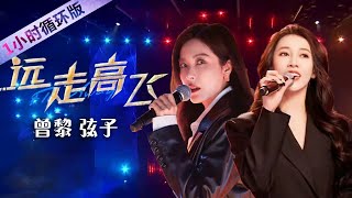 曾黎、弦子圆润与柔美声线的绝佳融合！一曲《远走高飞》带你俯瞰这世界有多美（一小时循环版）| 中国音乐电视 Music TV