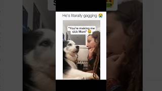Dogs being idiots part 200: Talking dogs #funnydog #funnypet #cutedog #dog #pets #shorts