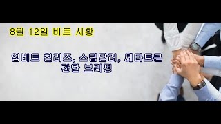 8월 12일 비트시황, 업비트 칠리즈, 스팀달러, 쎄타토큰 간단 브리핑
