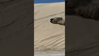 Qatar Desert Safari #desertsafariqatar #newmusic #travel #qatartourism #offroad #deserttour