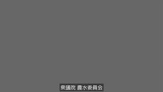 2019年10月24日 衆議院農水委員会