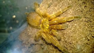 OBT In Action (And a Sterling Example of Keeper Carelessness)