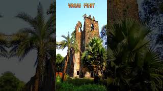 top 10 places to visit in palghar district / palghar picnic spot / #shorts #viral #india #trending