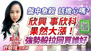 盤中急殺 該擔心嗎? 欣興 事欣科果然大漲 ! 強勢股拉回買誰好 ?｜股市易點靈 許毓玲 分析師｜2025.07.29