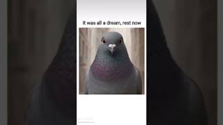 It was all a dream, rest now #brainrot #subscribe #like #foryou