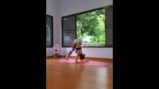 Day 7 0f #MorePinchaPlease is #splits #hanumanasana #pinchamayurasana #pincha #forearmbalance