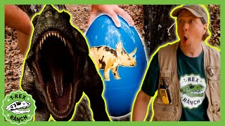 Giant Dinosaur Eggs! #irl | 🦖🦕 T-Rex Ranch Dinosaur Videos
