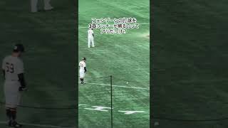 左投げなら大丈夫か #プロ野球 #阪神 #巨人
