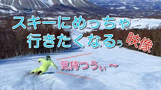 スキーにめっちゃ行きたくなる映像　ルスツリゾート