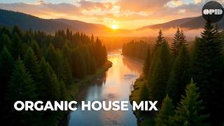 Mountain Nature Organic House 2025  Alpine Lakes | Opid Vol. 23