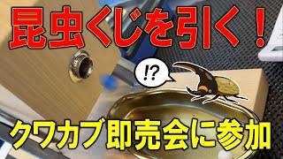 昆虫くじを引いてみたところなんと！？クワカブ即売会イベントに参戦してきたぜ