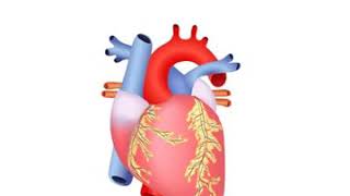 G6 heart beat and pulse