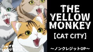 TVアニメ『ニャイト・オブ・ザ・リビングキャット』ノンクレジットOP映像｜THE YELLOW MONKEY「CAT CITY」