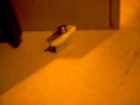 brush bug.AVI