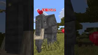 【アドオン紹介】いつも追いかけてゆくよ【統合版マイクラ】